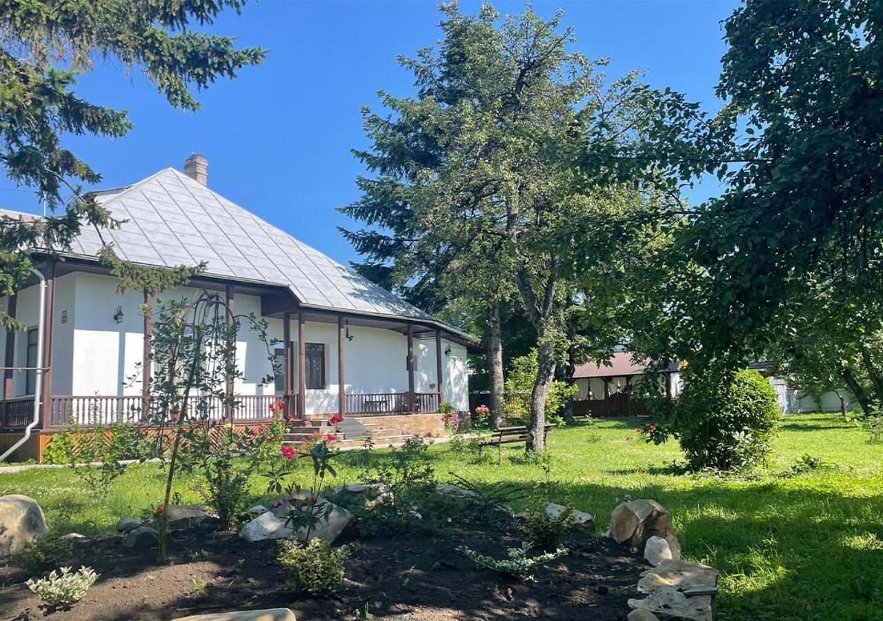 Casa Humulesti, Fii Vecinul Lui Ion Creanga Villa Târgu Neamț Eksteriør billede
